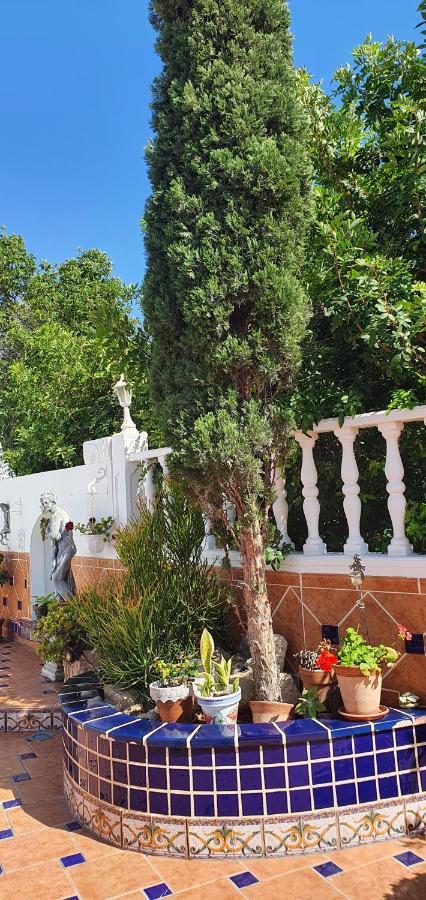 קיאו סלבאחה Villa Violetta מראה חיצוני תמונה