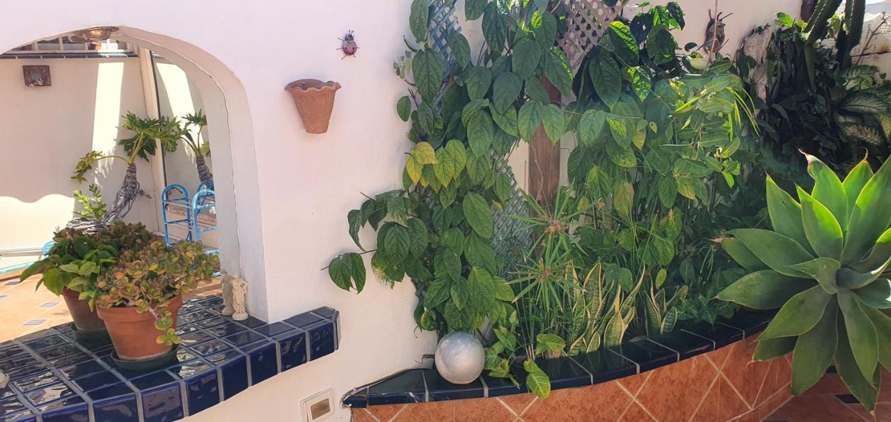 קיאו סלבאחה Villa Violetta מראה חיצוני תמונה